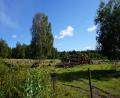 images/Schweden/Schweden 2025/DSC02487.jpg